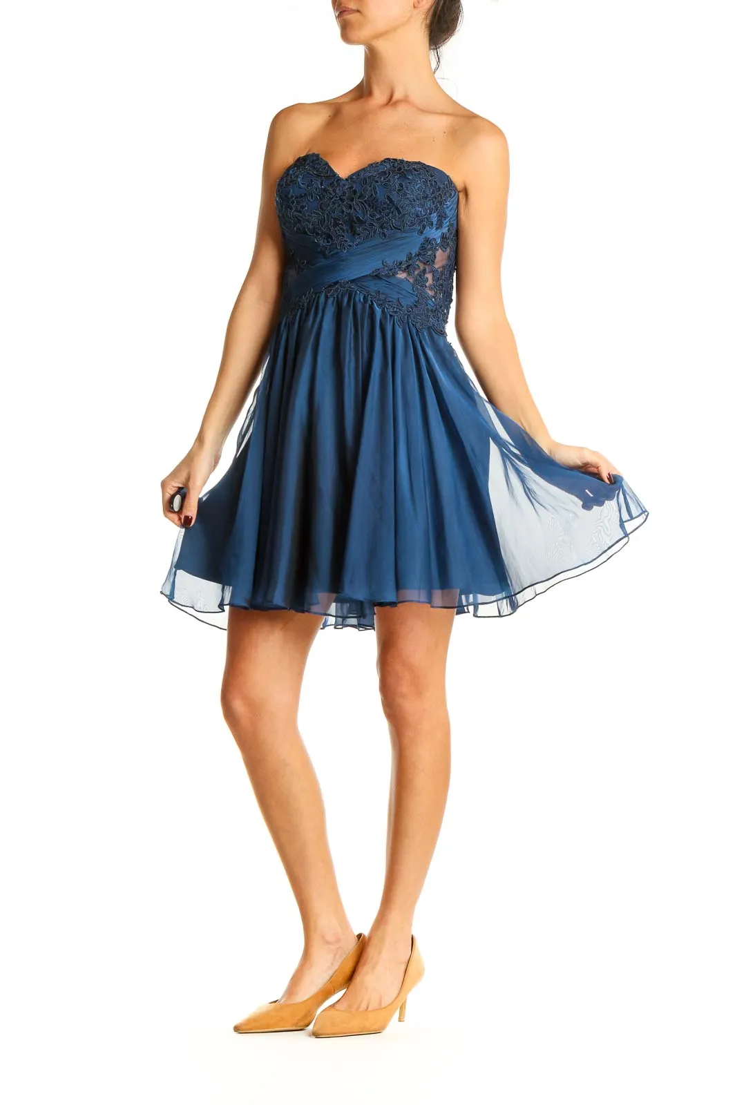 Blue Lace Semi-Floral Fit & Flare Dress